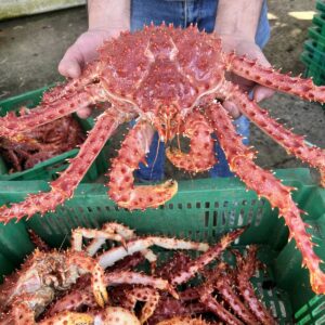 Centolla Chilena - Entera Viva